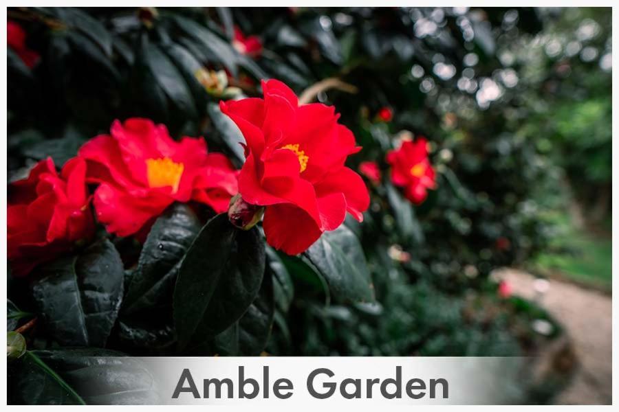 Amble At Hahndorf Panzió Kültér fotó
