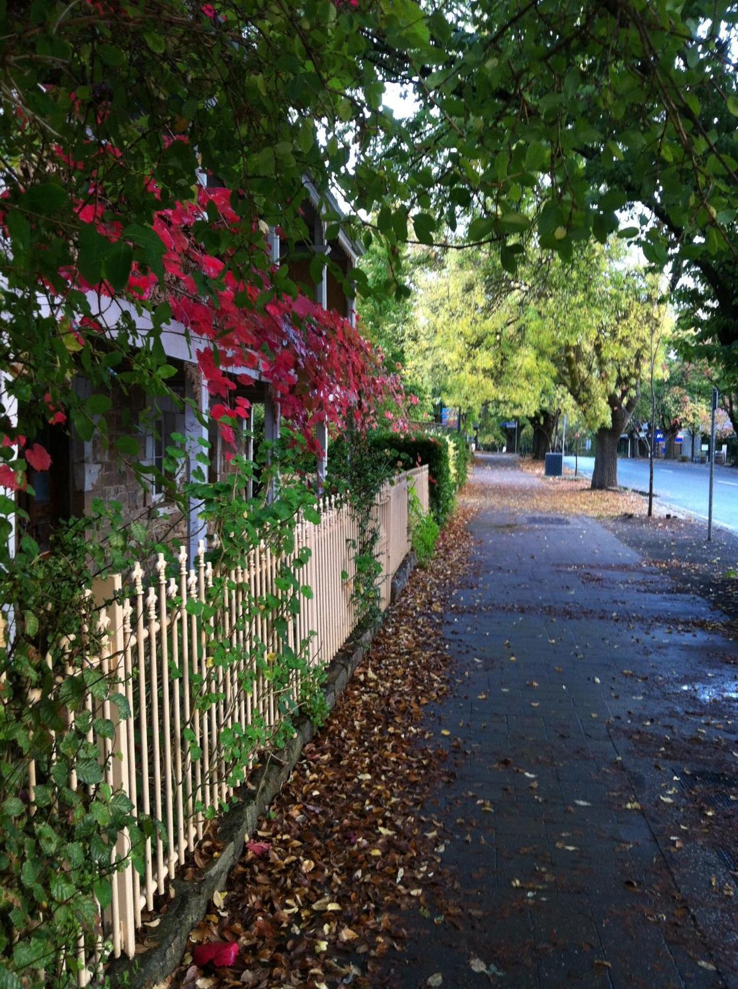 Amble At Hahndorf Panzió Kültér fotó