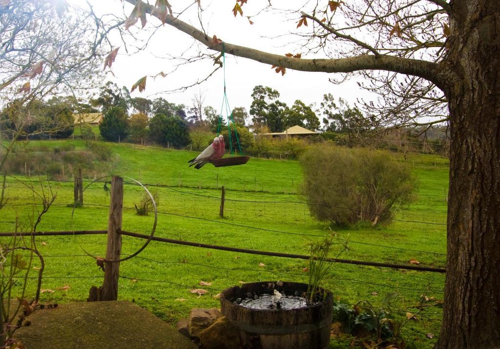 Amble At Hahndorf Panzió Szoba fotó